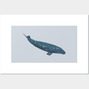 Gray Whale Posters and Art